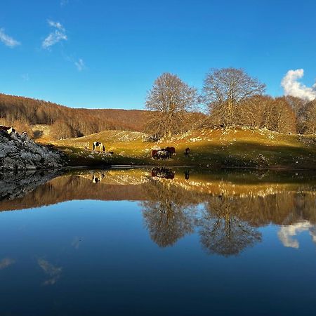 Apartmán Freemood Campaegli Exteriér fotografie