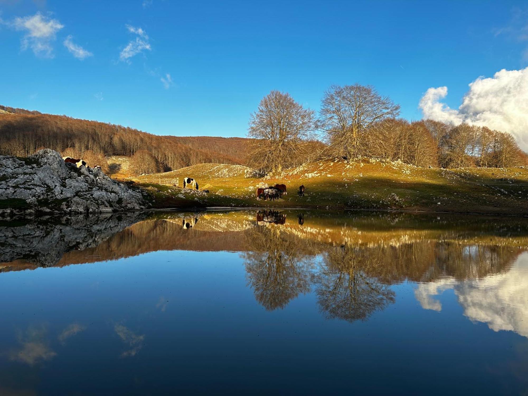 Apartmán Freemood Campaegli Exteriér fotografie